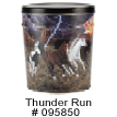 Thunder Run